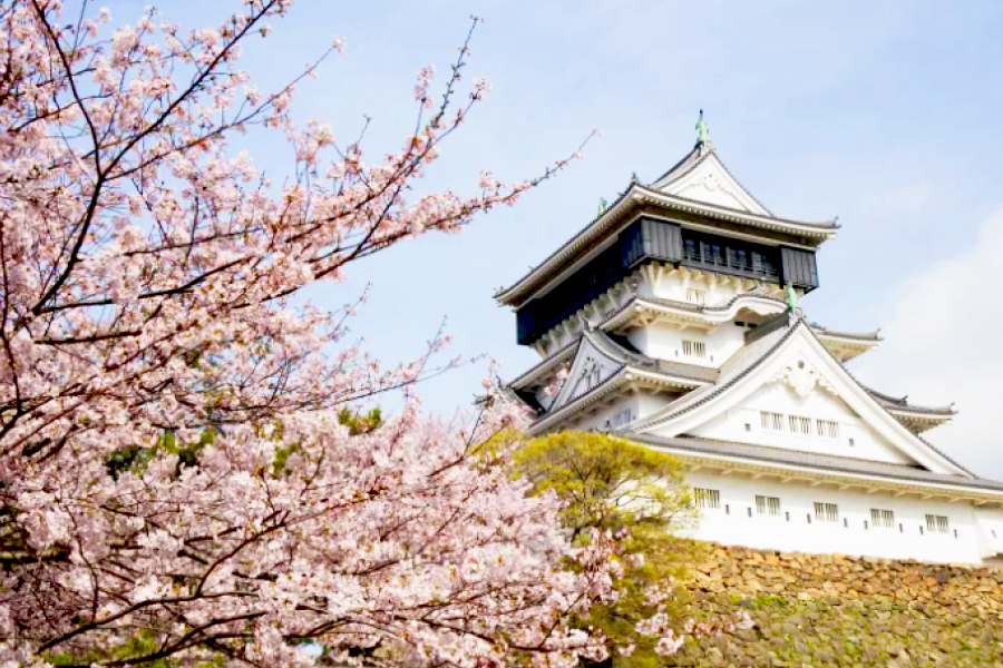 日本九州 | 3月限定櫻花季．高爾夫之旅5日